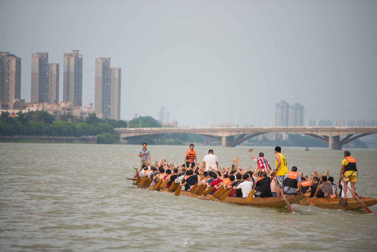 端午扒龙船