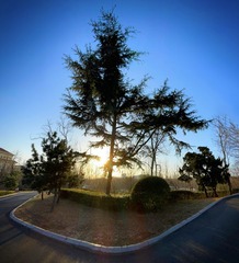 F5CF3698-8E79-461D-B913-03232393B280/L0/001