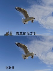 9F0F5C14-CA8E-42D2-A33A-C8CFC0335FDB