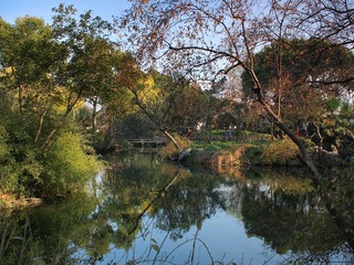 PC090083