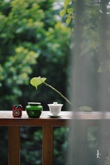 D24E2865-418A-459F-BB2C-F4D1B4A77F49/L0/001