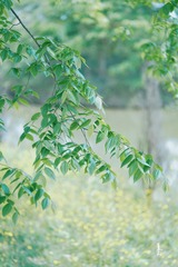 3EBB2930-4F90-4A96-9DC1-13AF80812EB4/L0/001