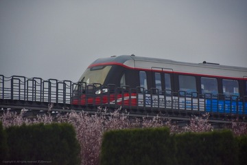 234725