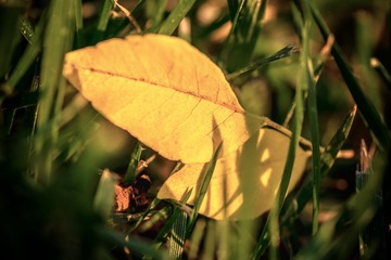 _DSC9997