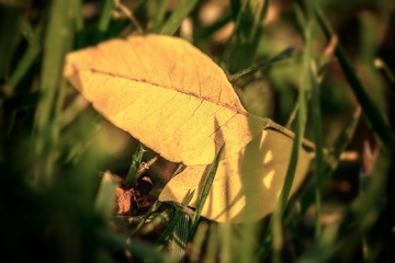 _DSC9997