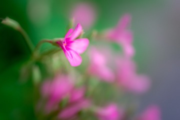 _DSC9373