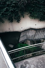 三月十一日 (31)