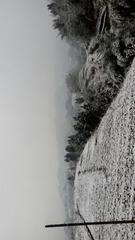 P60124-081046