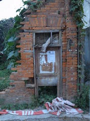 R1234217