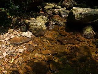 R1235569