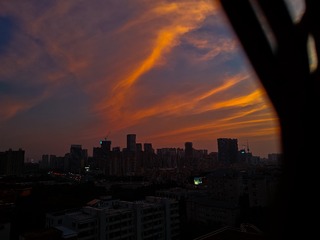 1000291204