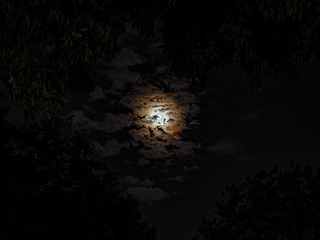 1000348025
