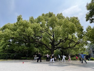 39705C80-A6F6-4948-AF2C-74F430396429/L0/001