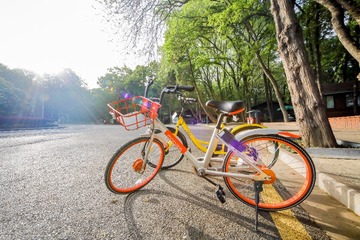 共享单车林古寺