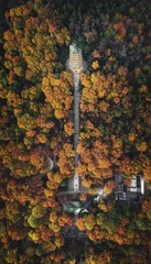 层林尽染灵谷寺