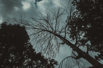 X-10