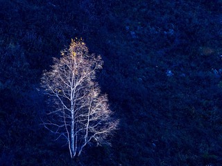 P9274388