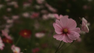 003374C8-BC55-4E91-AA90-7B0F9EC860FA/L0/001