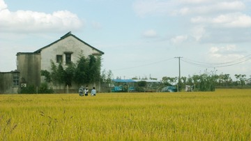 18E85D6A-C560-484C-894D-9F24D5091154/L0/001