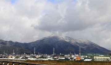 去年冬天
