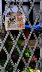狂犬注意
