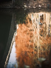 A568B491-F864-4EF4-A7B1-C62FB9313530/L0/001