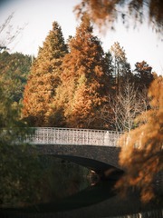 D9F4CAD6-E478-4390-9F20-98232C548E3F/L0/001