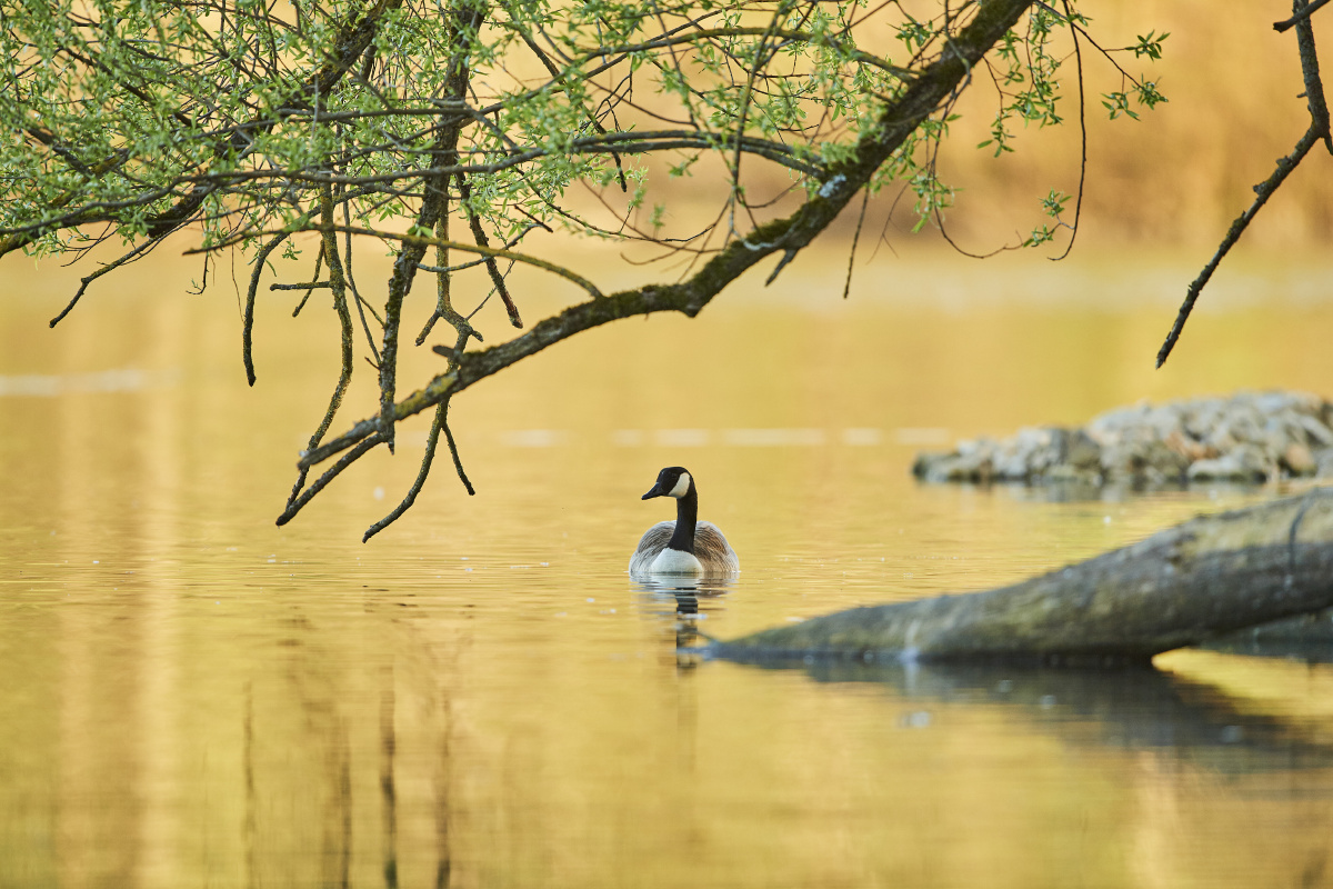 一个像夏天 一个像秋天 - 闺蜜照 - 扎克_ZAC