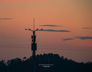 955010