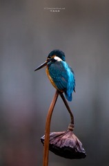 990770