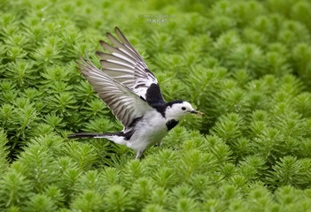 6ABBAD99-F7BD-4B40-8AFF-F58E2A8A9D08/L0/001