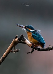 990769