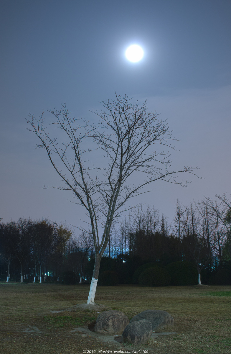 就这样一个安静的夜晚就很好.