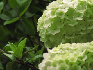 8D0E4B13-444A-475E-9592-A0CA34B99B53/L0/001