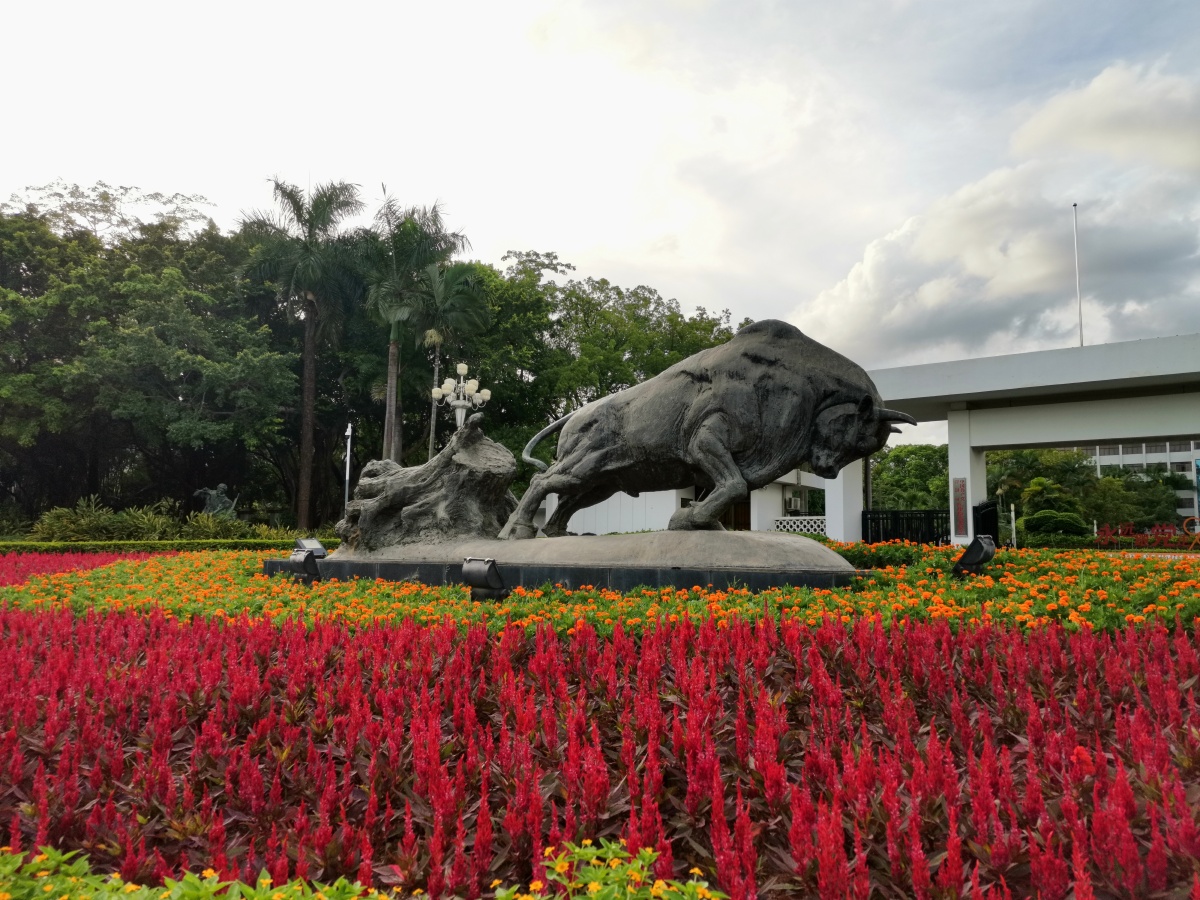 城市雕塑拓荒牛