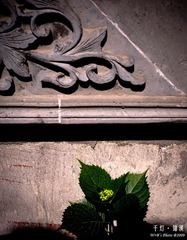20090510-DSC_0037