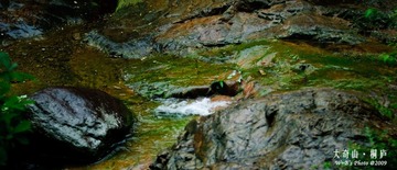 20090502-DSC_0085
