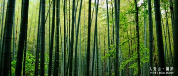 20090502-DSC_0008