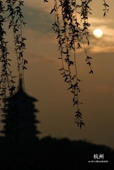 20090326-DSC_0110