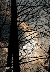 20090326-DSC_0100