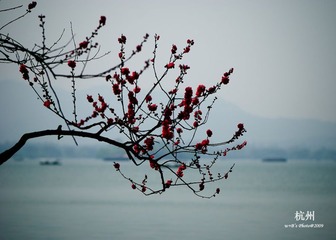 20090326-DSC_0010