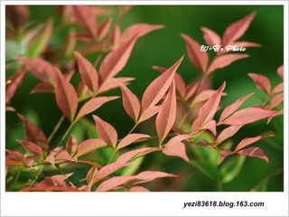又是色彩.jpg