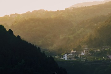 1167477