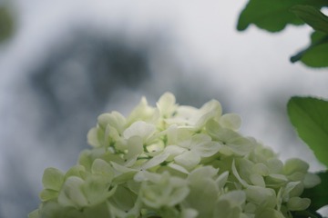 5317A470-6E25-4513-824E-42441390FFD1/L0/001