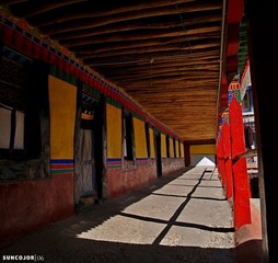 P5041025-塔尔寺