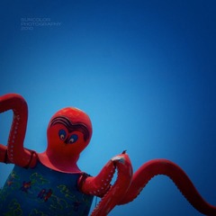 _6193785-编辑.jpg