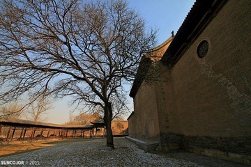 IMG_2208.jpg