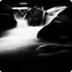 油水-如油似水