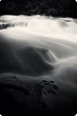 油水