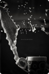 想要飞-365-32